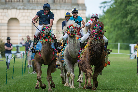 BEN WAY TAKES PART IN THE CAMEL RACING AT THE 2017 HOUGHTON INTERNATIONAL HORSE TRIALS