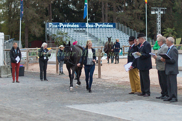 Emily King of Great Britain and Brookleigh