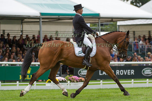 BLYTH  TAIT (NZL) RIDING BEAR NECESSITY V