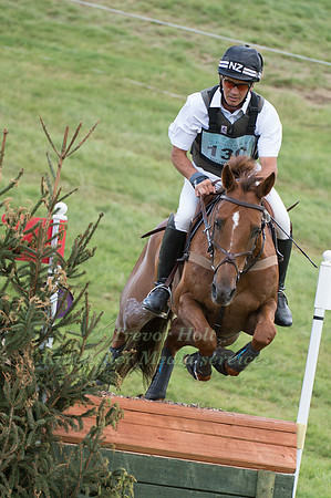 Andrew  Nicholson (NZL) riding Teseo
