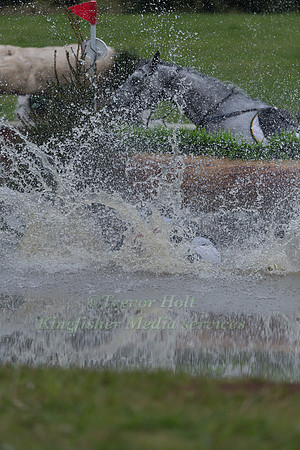 BEN HOBDAY RIDING  SHADOW SEAHORSE