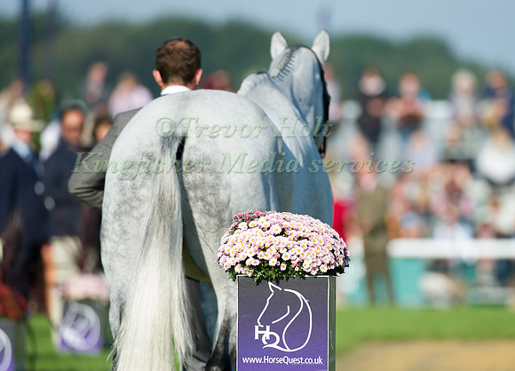 Gordon Murphy (GBR) riding Imperial taking part in the Show Jumping Phase