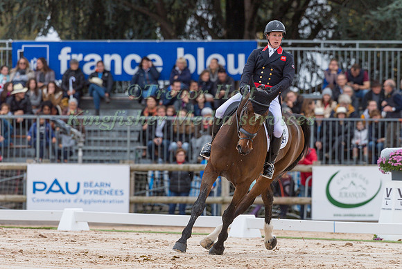 TOM MCEWEN (GBR) AND FIGARO VAN HET BROEKXHOF
