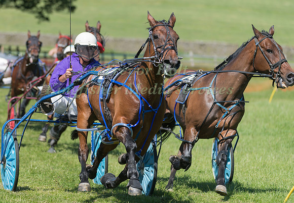 Harness racing at Helifield , Yorkshire