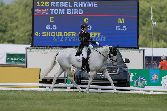 TOM BIRD AND REBEL RHYME