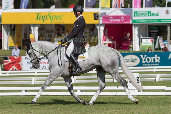 ANDREW  NICHOLSON (NZL) AND ANDREA BT4