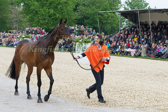 Alice Naber-Lozeman (NL) and ACSI Harry Belafonte at the Final  Horse Inspection of the 2017 Mitsubishi Motors Badminton Horse Trials