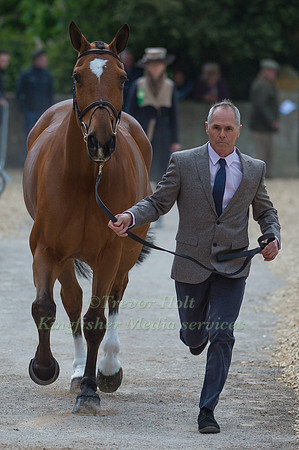 Blyth Tait (NZL) and Bear Necessity V at the first Horse Inspection of the 2017 Mitsubishi Motors Badminton Horse Trials