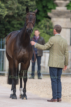 Padraig McCarthy (IRL) and Fallulah