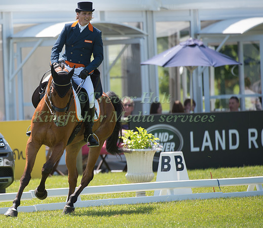 De Vendel, Theo Van (NED) riding Zindane