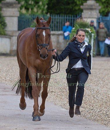 Louise Romeike (SWE) and  Wieloch's Utah Sun