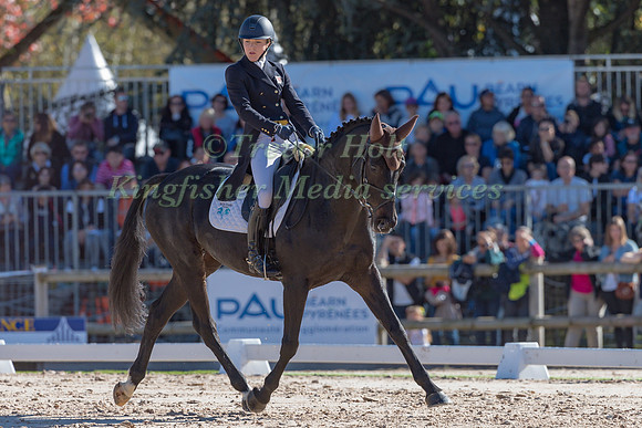 FELICITY COLLINS (GBR) ANDJUST AMAZING