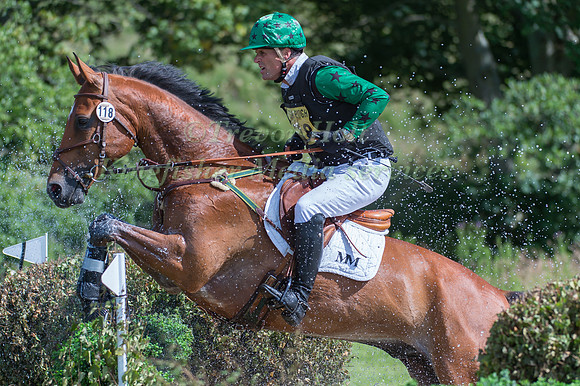 Michele Moor (GBR) riding The Dutch Horse