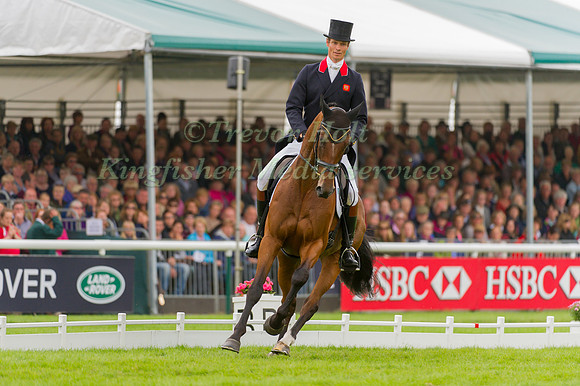 William Fox-Pitt and Parklane Hawk
