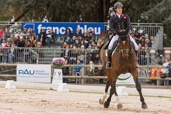 TOM MCEWEN (GBR) AND FIGARO VAN HET BROEKXHOF