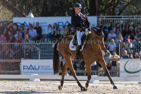 TOM MCEWEN (GBR) AND TOLEDO DE KERSER