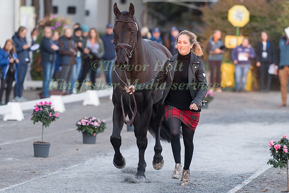 LAURA  COLLETT AND DACAPO