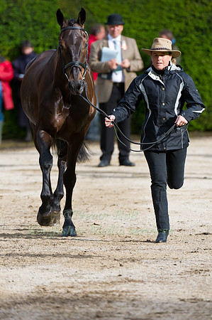 Pippa Funnelll andOr Noir De La Loge