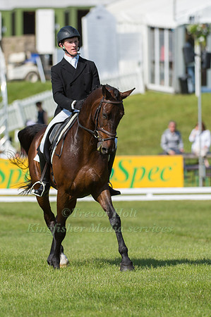 James Lucey riding Proud Courage