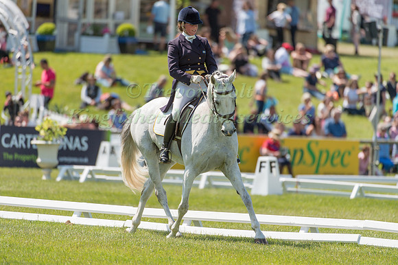 Katrin Norling (SWE) riding Zarina Cora