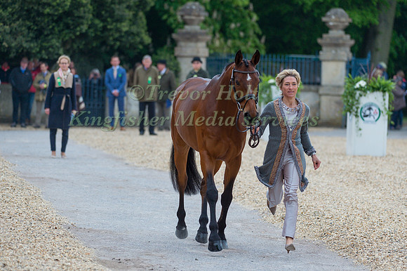 Ingrid Klimke (GER) and Horseware Hale Bob OLD at the Final  Horse Inspection of the 2017 Mitsubishi Motors Badminton Horse Trials