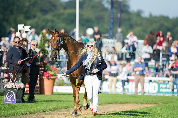 Matthew Heath (GBR) riding The Lion taking part in the Show Jumping Phase