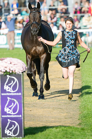 Louisa Lockwood (GBR) riding Ballyfarris Flight taking part in the Show Jumping Phase