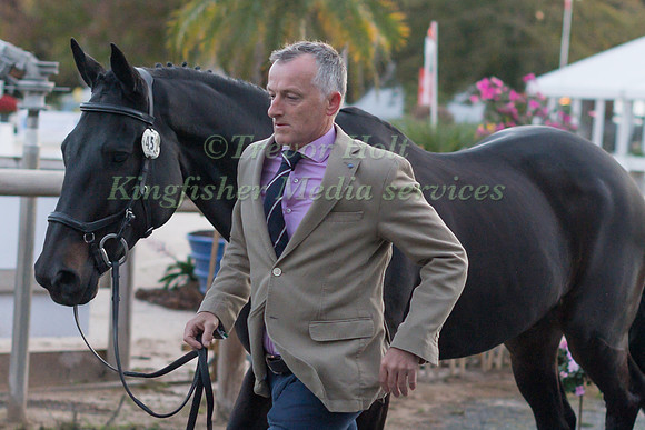 Aidan KEOGH (IRL) AND MASTER TREDSTEP AT THE FIRST HORSE INSPECTION OF THE CCI 4 STAR COMPETITION OF THE 2017 LES ETOILES DE PAU