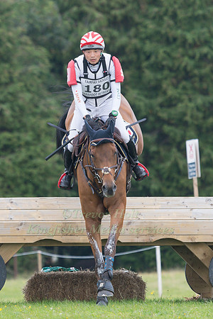 TOSHIYUKI TANAKA AND TALMA D ALLOU