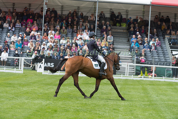 Becky Heappey (GBR) and DHI Babette K