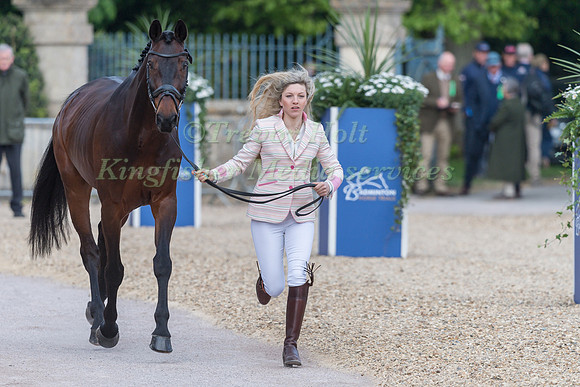 Felicity Collins (GBR) and RSH Contend OR