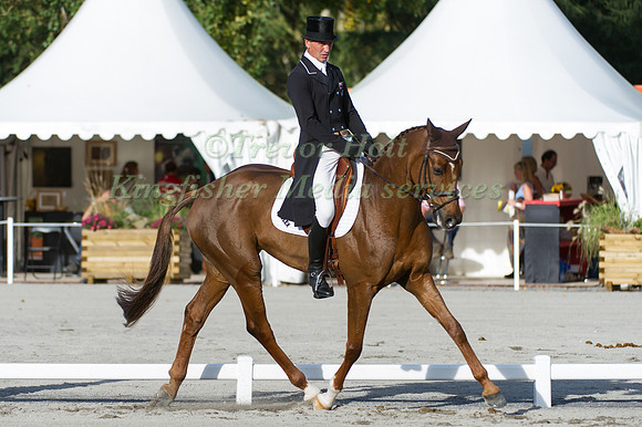 Andrew Nicholson and Teseo