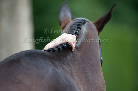Pippa Funnelll & Pure Addiction