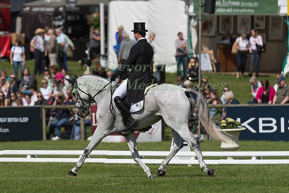 DAVID DOEL (GBR) AND EISFEE TAKING PART IN THE DRESSAGE PHASE OF THE  CIC THREE STAR COMPETITION AT THE 2017 EQUI-TREK BRAMHAM INTERNATIONAL HORSE TRIALS