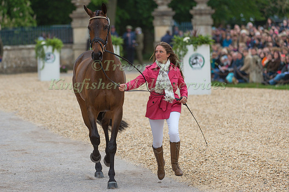 Lynn Symansky (USA) and Donner at the Final  Horse Inspection of the 2017 Mitsubishi Motors Badminton Horse Trials