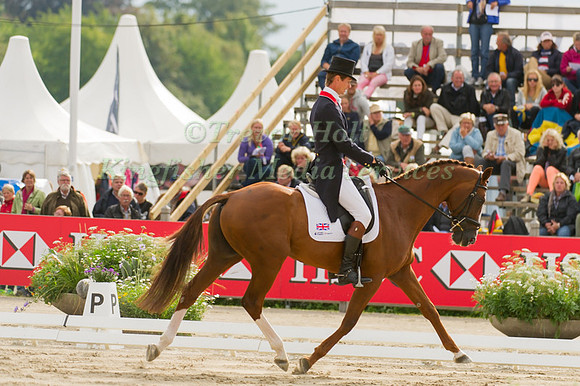 William Fox-Pitt and Chilli Morning