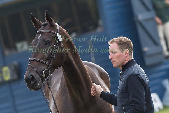 OLIVER TOWNEND  AND ARKLOW PUISSANCE