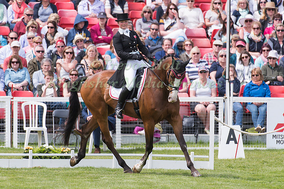 Hanne Wind Ramsgaard of Denmark riding Vestervangs Arami