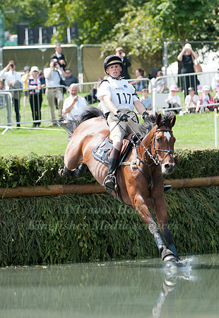Frank Ostholt & Sir MEdicott