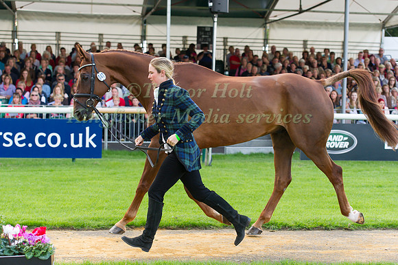 Emily Llewellyn (GBR) and  Greenlawn Sky High