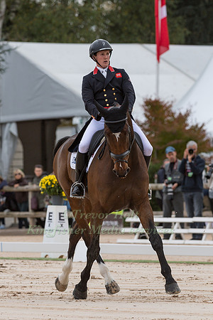 TOM MCEWEN (GBR) AND FIGARO VAN HET BROEKXHOF