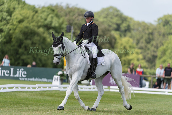 TOM BIRD AND REBEL RHYME