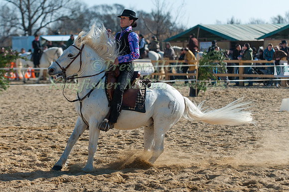 A rider performs a sliding halt to end their dressage test at the Camagri