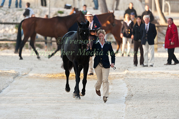 Nicola Wilson and Opposition Buzz