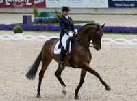 Dorothee Schneider (GER) and Santiago 221 taking part in the Prize of VUV - Vereinigte Unternehmerverbände Aachen Prix St. Georges CDI4*