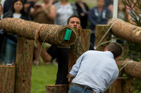 Fence Repair Team