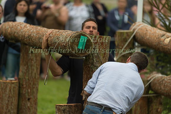 Fence Repair Team