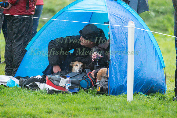 Taking Shelter