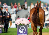 Matthew Wright (GBR) and Cossan Lad taking part in the Show Jumping Phase