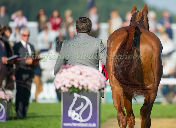 Matthew Wright (GBR) and Cossan Lad taking part in the Show Jumping Phase